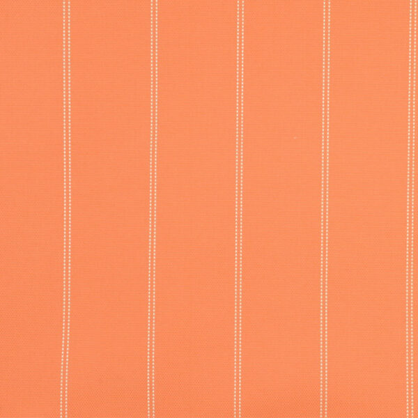 África 329 - Image 2