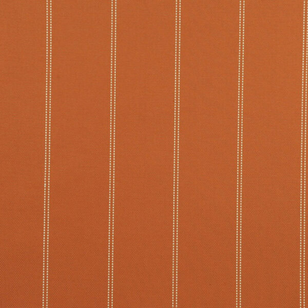 África 331 - Image 2