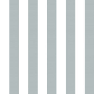 Classic 03 Blanco/Gris
