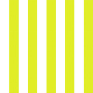 Classic 07 Blanco/Pistacho
