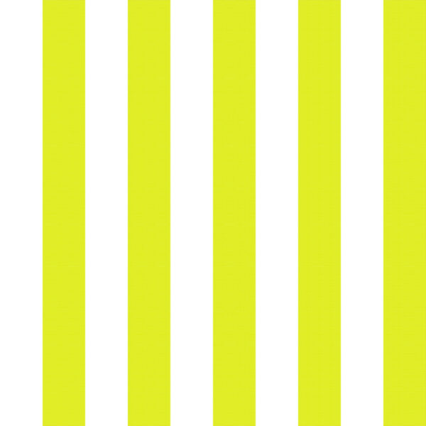 Classic 07 Blanco/Pistacho