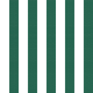 Classic 23 Blanco/Verde hiedra