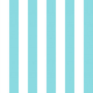 Classic 29 Blanco/Turquesa