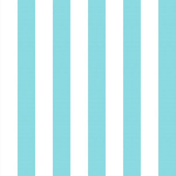 Classic 29 Blanco/Turquesa