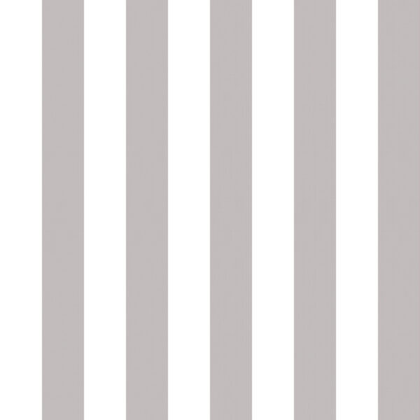 Classic 35 Blanco/Gris claro