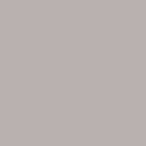 Classic 36 Gris claro