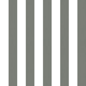 Classic 41 Blanco/Gris oscuro
