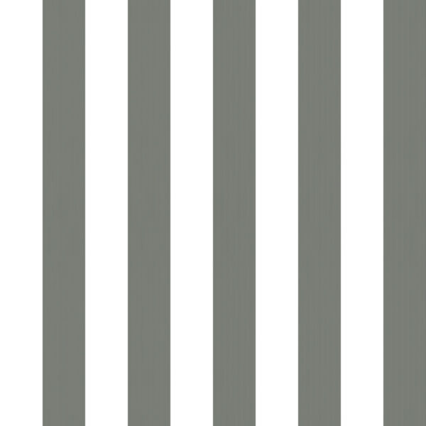 Classic 41 Blanco/Gris oscuro
