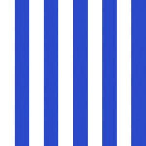 Classic 43 Blanco/Azul