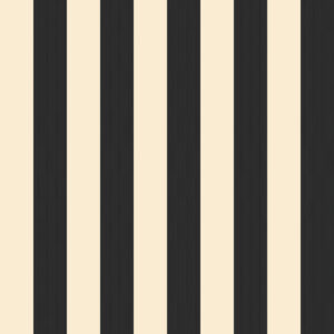 Classic 61 Beige/Negro