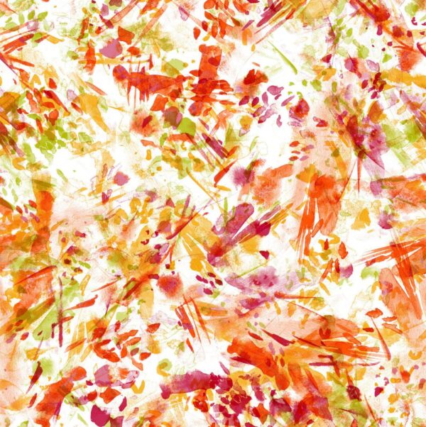 Sunny 2021 C - Image 2